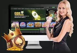 winbet login